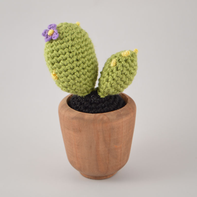 cactus handmade